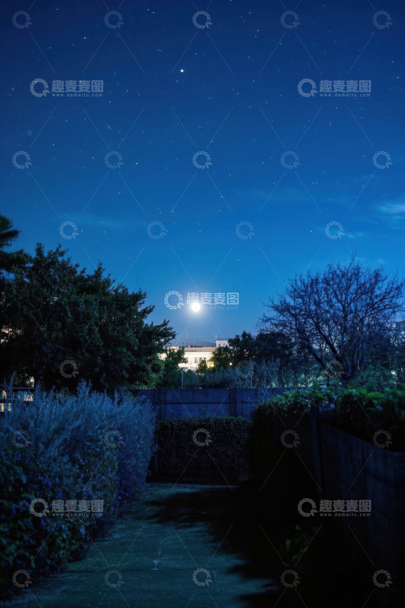 高清大图下载【趣麦麦图】月夜下的庭院绿植与星空