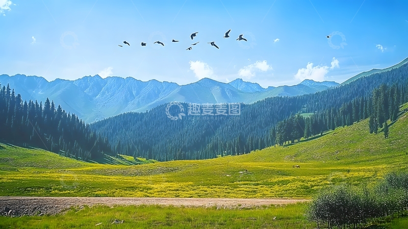 高清大图下载【趣麦麦图】自然风光山川飞鸟