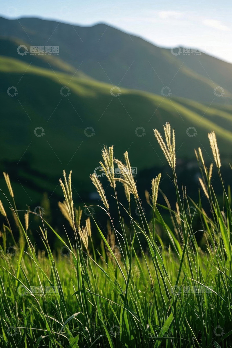 高清大图下载【趣麦麦图】户外山坡草地自然风光