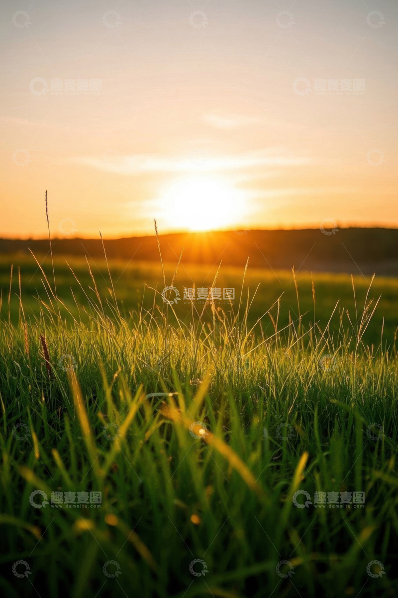 高清大图下载【趣麦麦图】夕阳下的草地风景