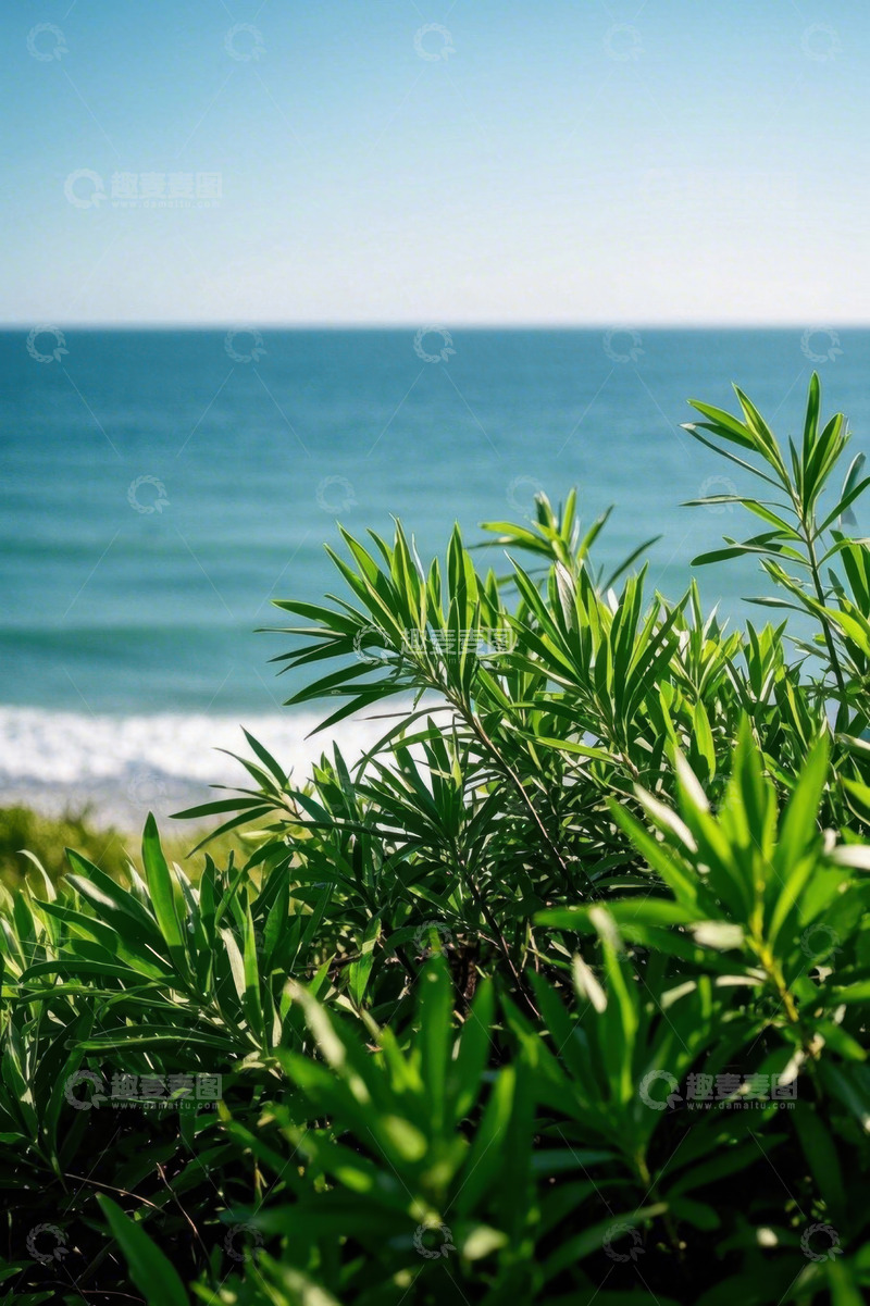 高清大图下载【趣麦麦图】海边绿植与蓝色海洋景观