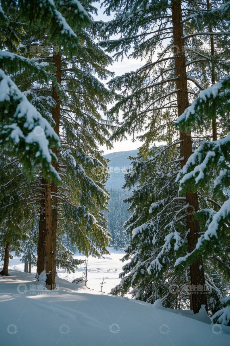 高清大图下载【趣麦麦图】冬日雪覆森林景象