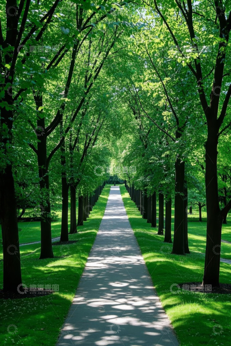 高清大图下载【趣麦麦图】公园林荫小道自然风光