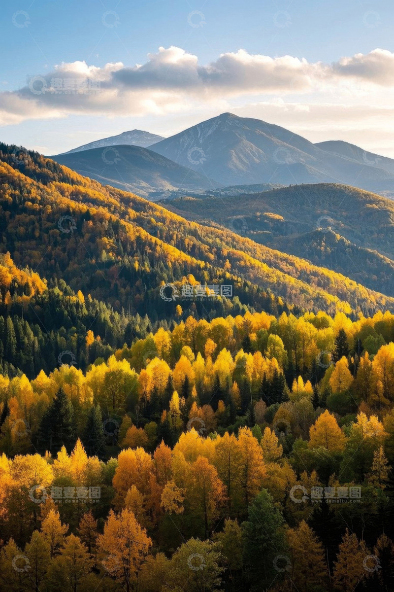 高清大图下载【趣麦麦图】秋日山林全景