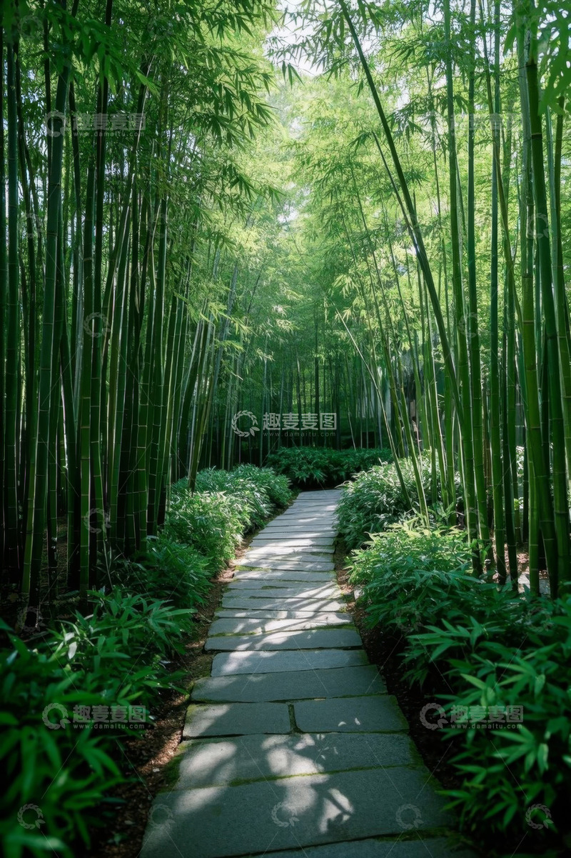高清大图下载【趣麦麦图】竹林中的石板小径
