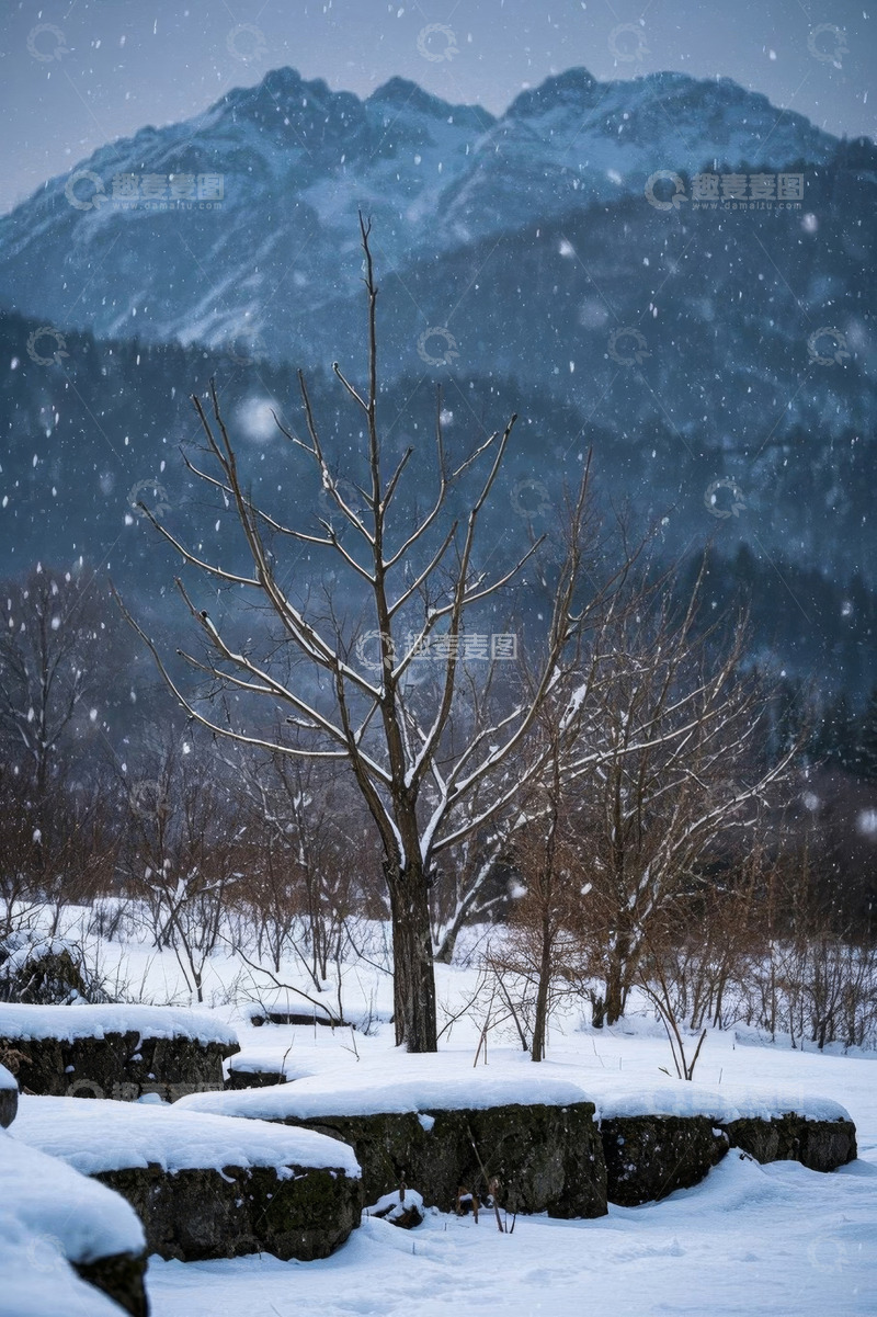 高清大图下载【趣麦麦图】雪中山景与光秃树木场景