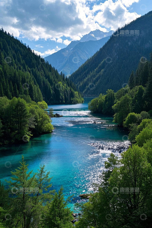 山间森林中的清澈河流景观
