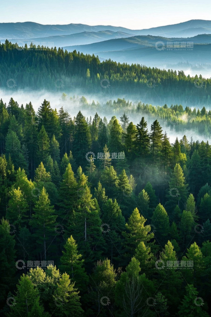 高清大图下载【趣麦麦图】山林间茂密森林与晨雾景观