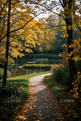 秋日公园湖畔落叶小径风景