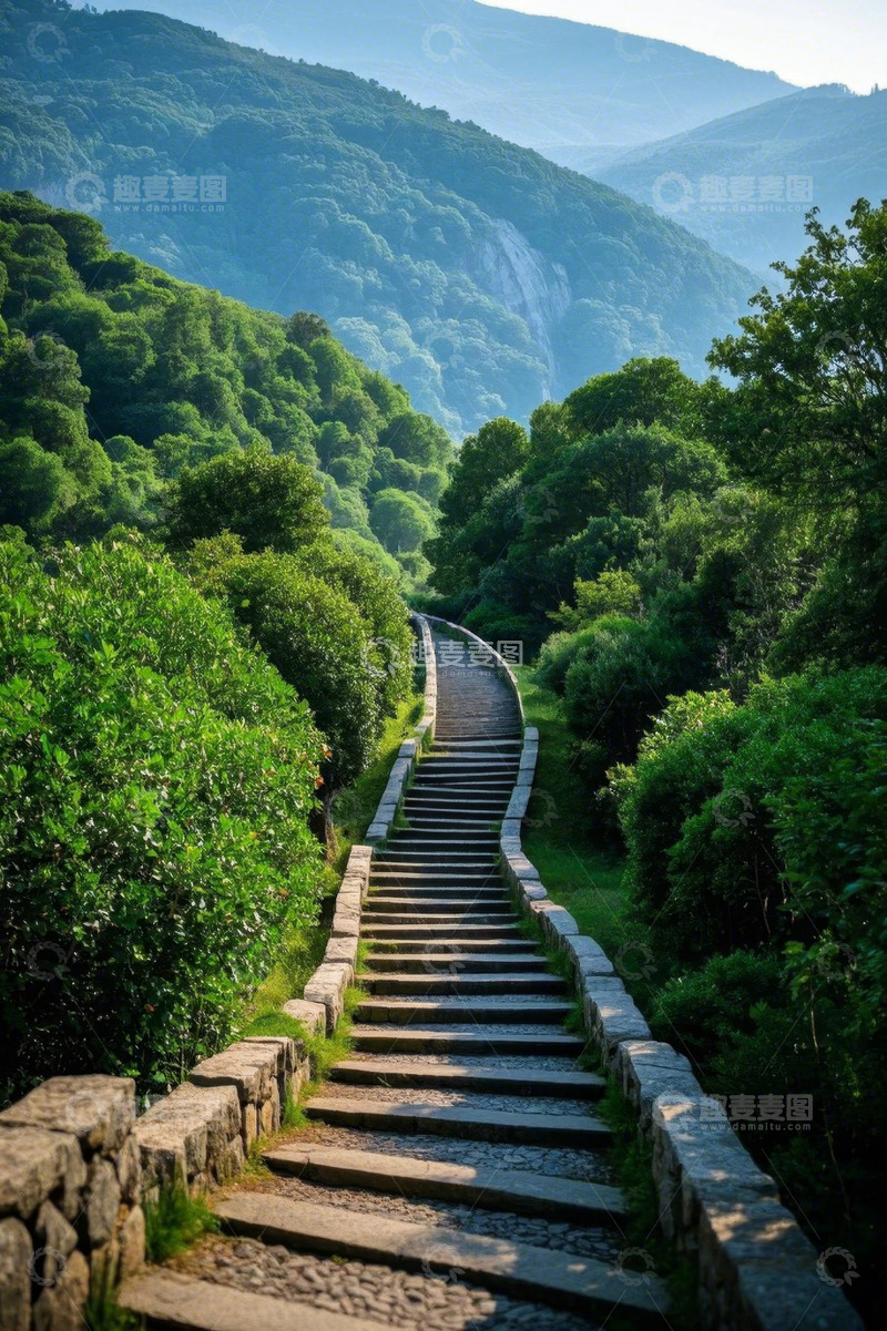 高清大图下载【趣麦麦图】山间森林中的石板阶梯