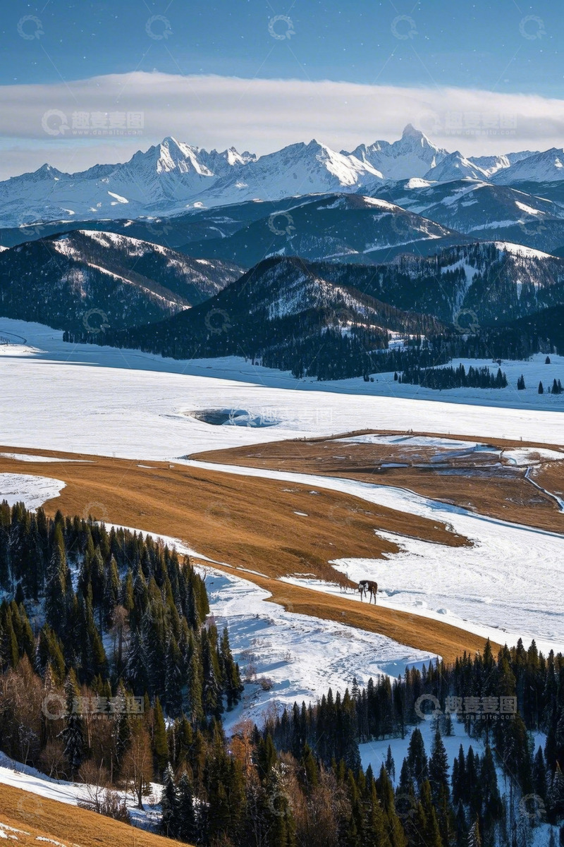 高清大图下载【趣麦麦图】雪山下的森林与开阔雪地景观