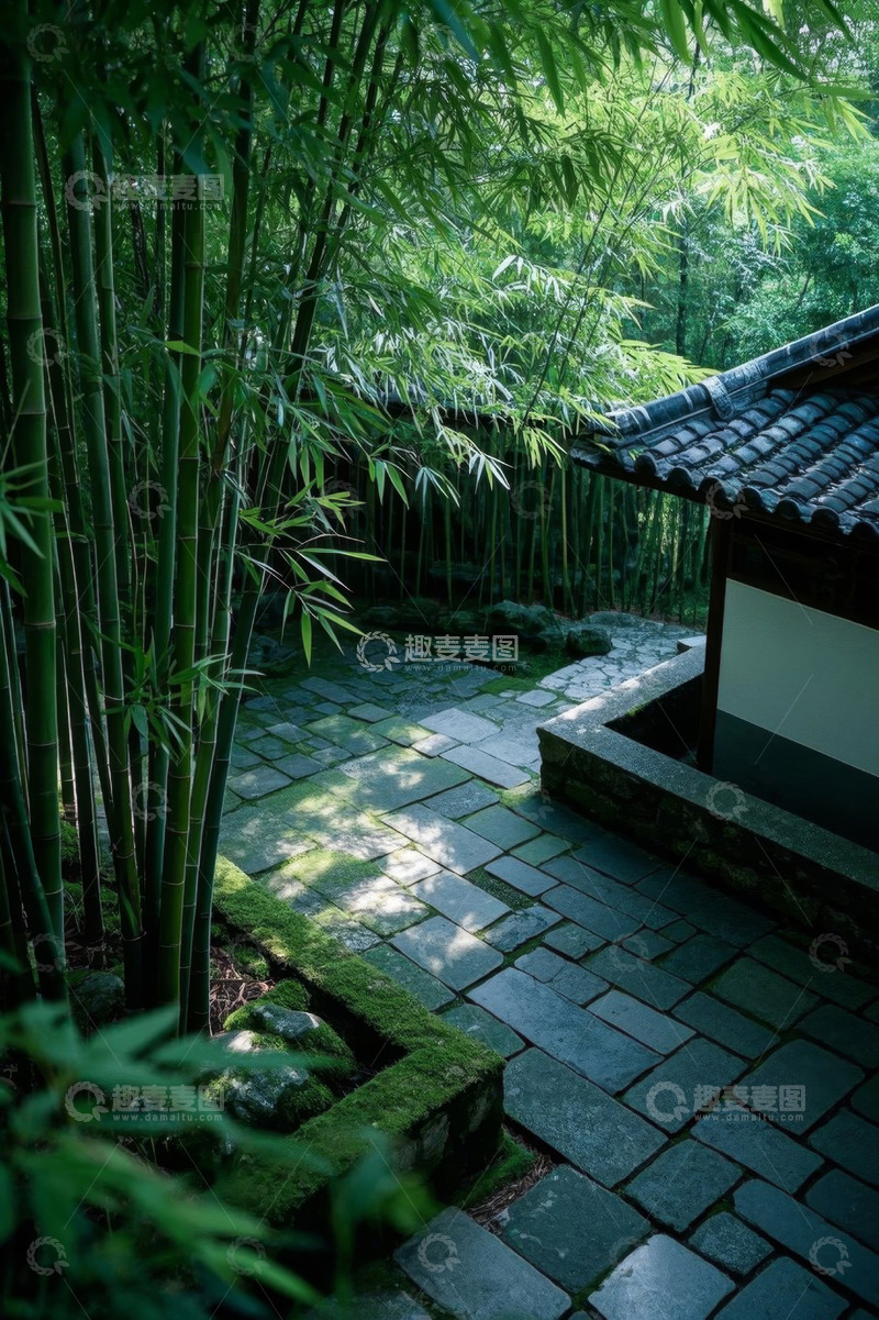 高清大图下载【趣麦麦图】中式庭院竹林石板路景致