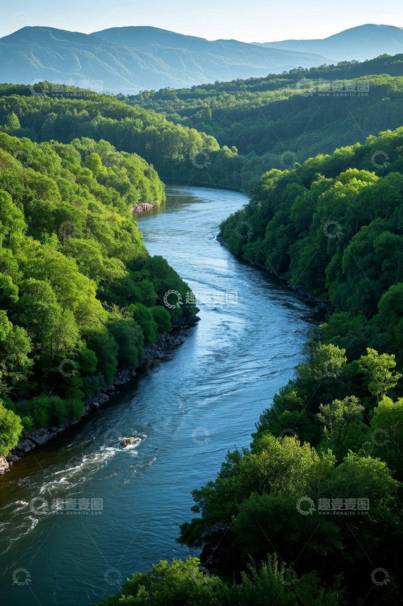 高清大图下载【趣麦麦图】蜿蜒河流穿行茂密森林景观