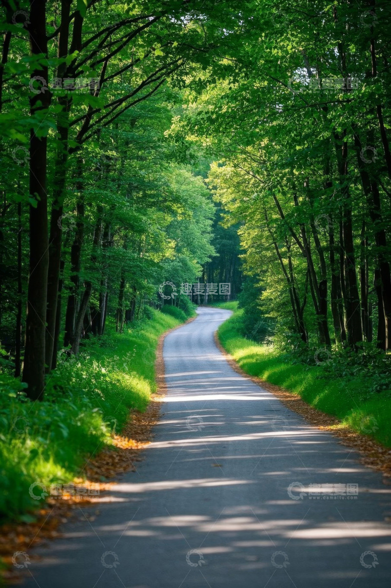 高清大图下载【趣麦麦图】林间蜿蜒的绿色小路