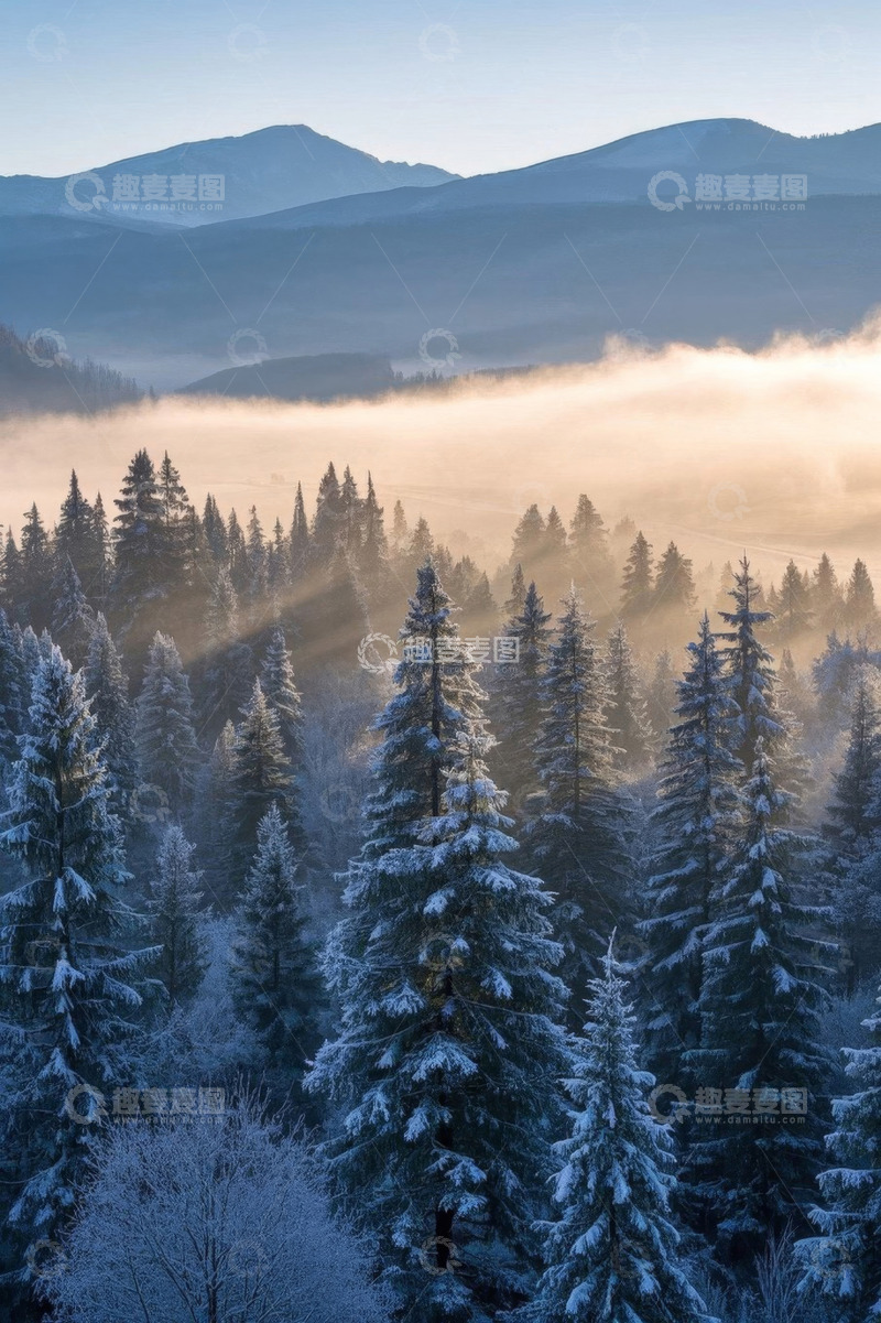 高清大图下载【趣麦麦图】雪覆山林晨雾与远山景象