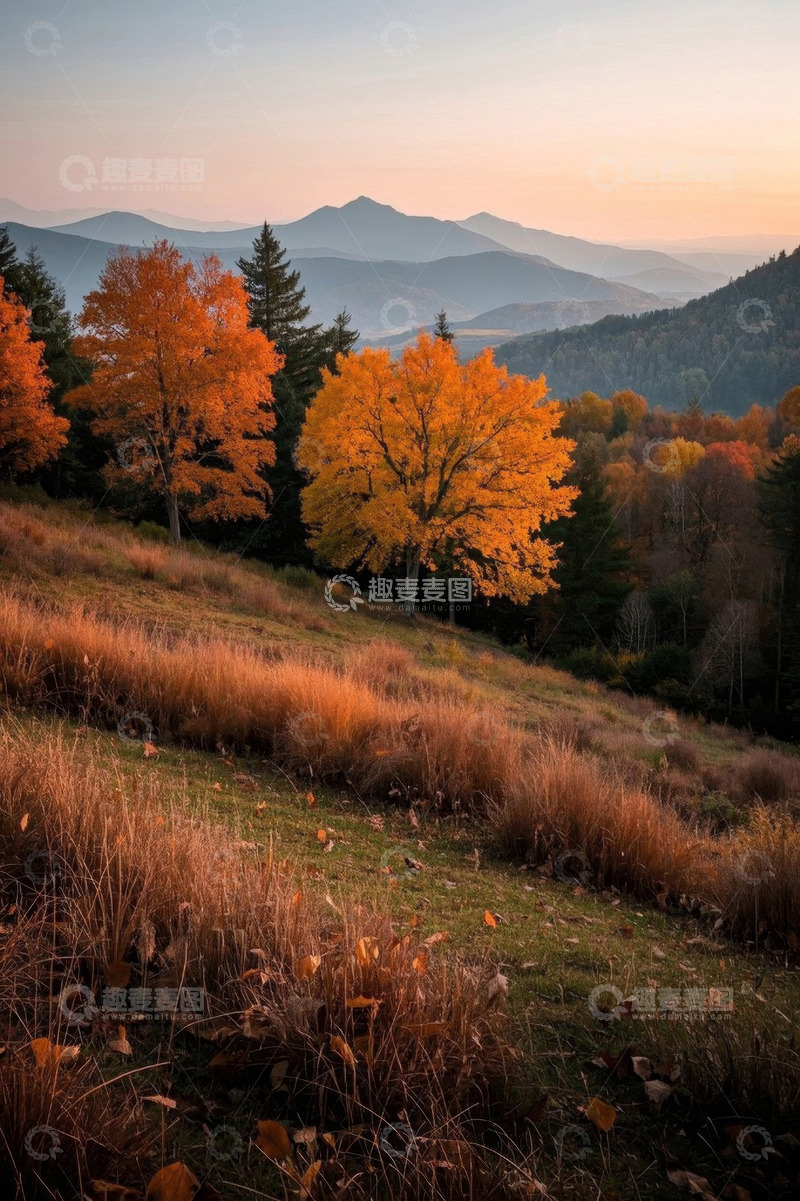 高清大图下载【趣麦麦图】秋季山间树林自然风光