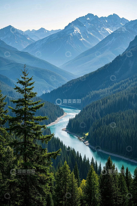 山间河流与森林全景