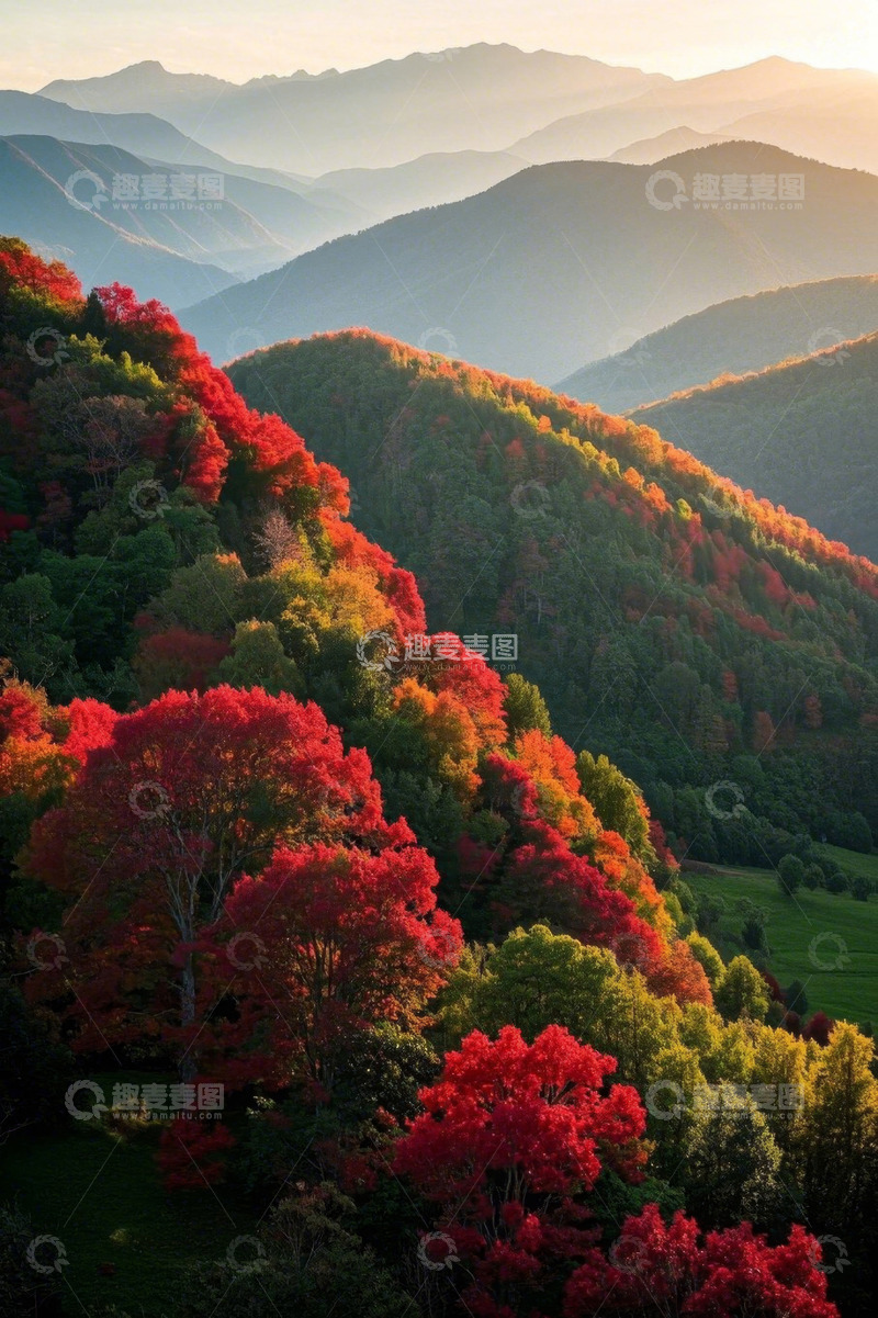 高清大图下载【趣麦麦图】秋日山林五彩斑斓山景