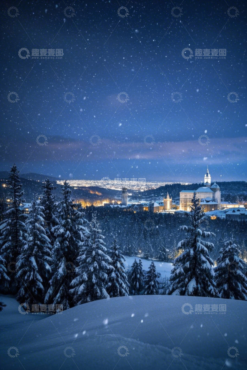 高清大图下载【趣麦麦图】雪夜森林与远处城市景观