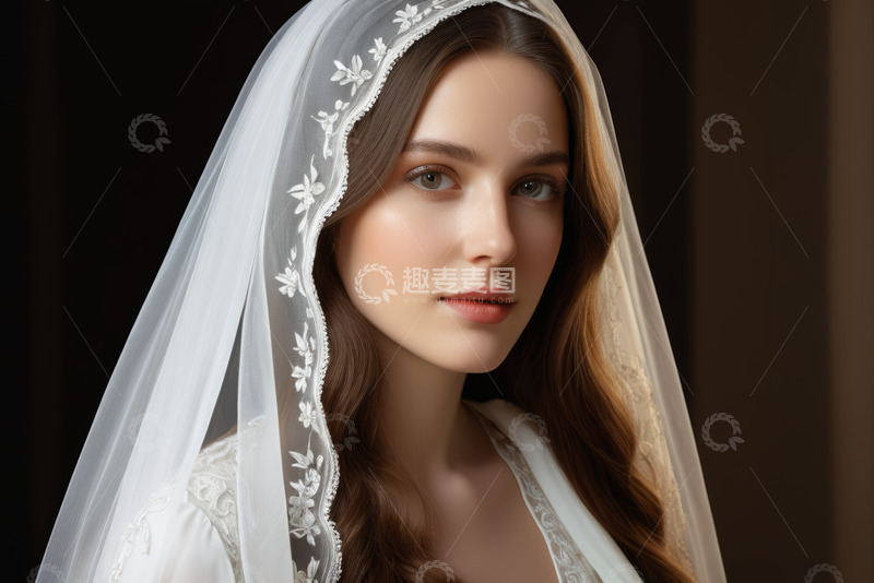 高清大图下载【趣麦麦图】新娘头戴白色头纱的肖像