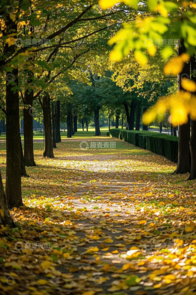 高清大图下载【趣麦麦图】秋日公园林荫小道景色