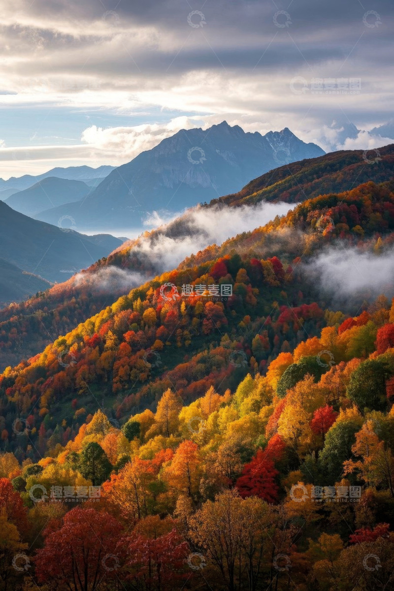 高清大图下载【趣麦麦图】秋季山林与远山云雾景观