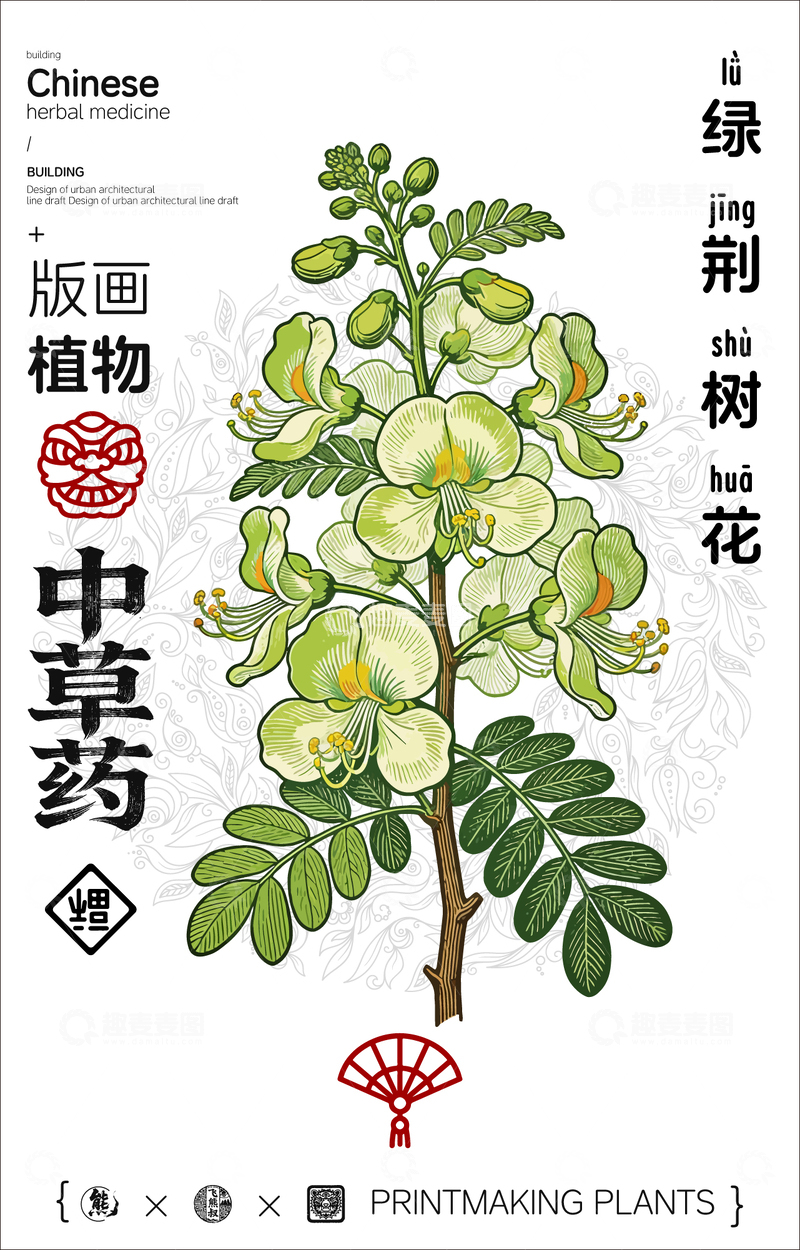 源文件下载【趣麦麦图】绿荆树花中草药线稿版画海报