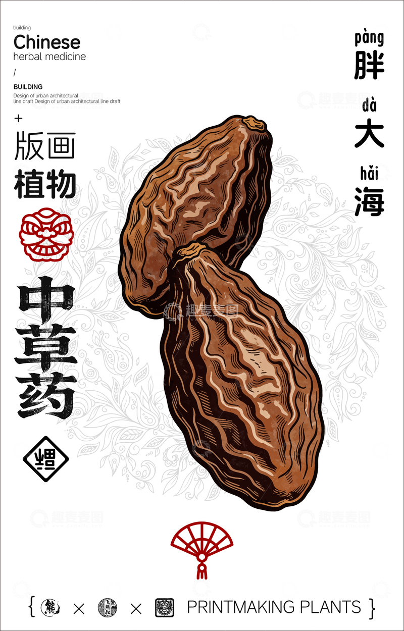 源文件下载【趣麦麦图】胖大海中草药线稿版画海报