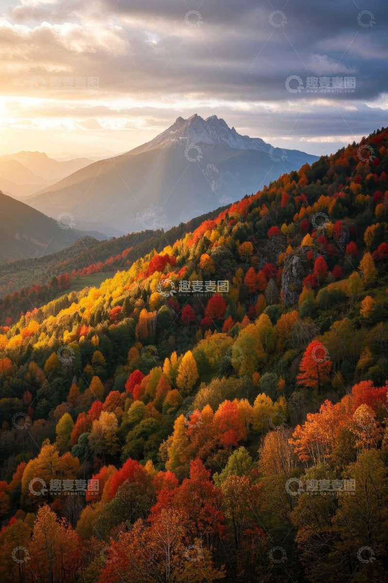 高清大图下载【趣麦麦图】秋日山林多彩树林与远山景观