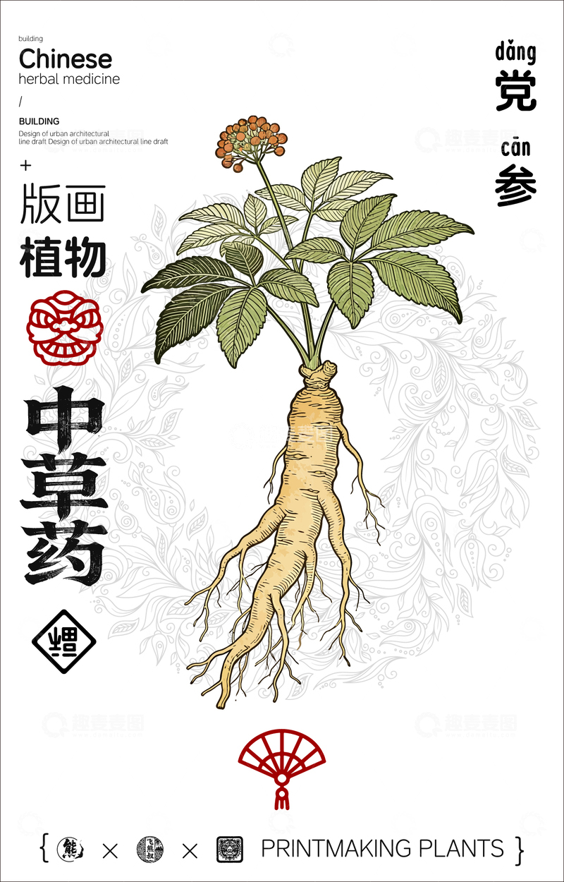 源文件下载【趣麦麦图】党参中草药线稿版画插画海报