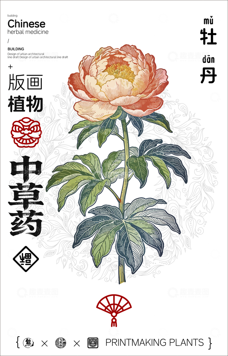 源文件下载【趣麦麦图】牡丹中草药线稿版画海报