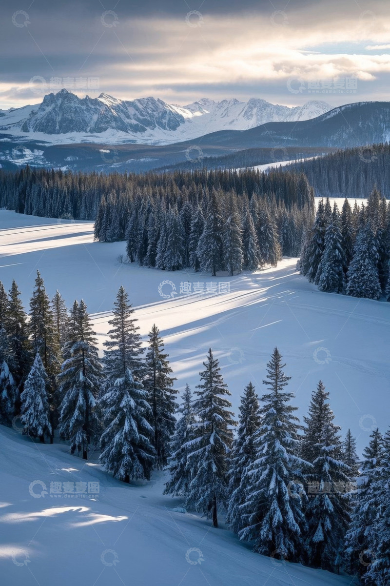 高清大图下载【趣麦麦图】雪山下的冬日森林风景