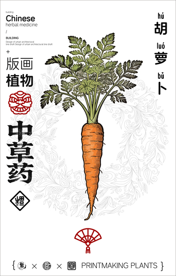 胡萝卜中草药线稿版画海报