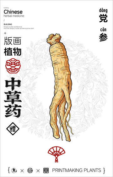 党参中草药线稿版画插画