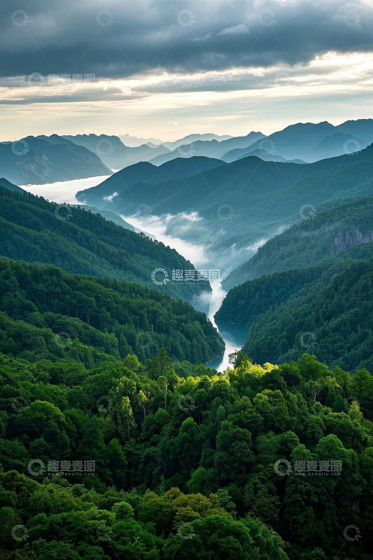 山谷森林云雾缭绕自然景观