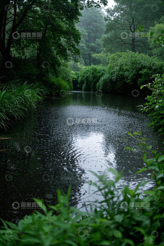 雨中河流旁的茂密绿植景观