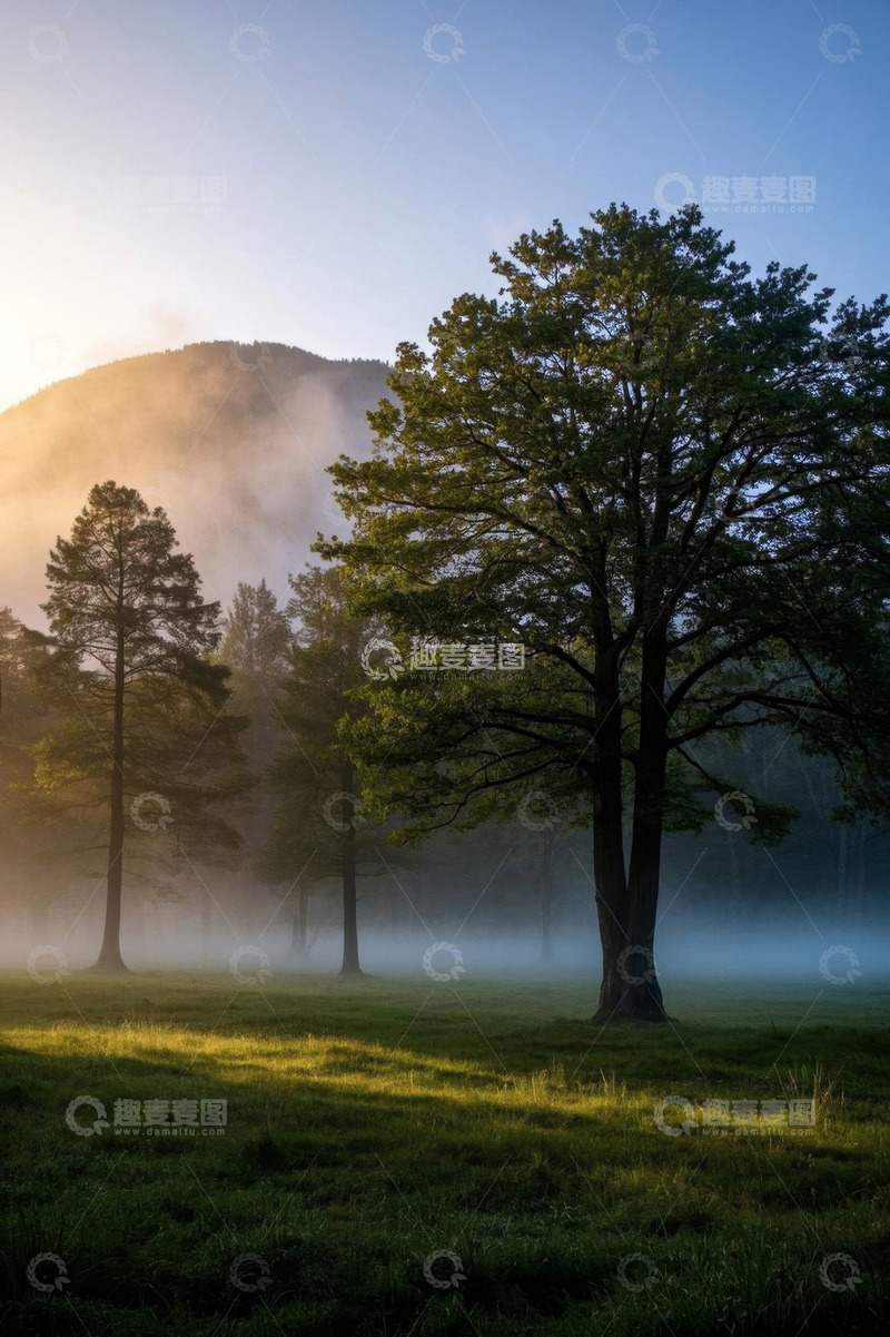 高清大图下载【趣麦麦图】清晨林间薄雾中的树木景观