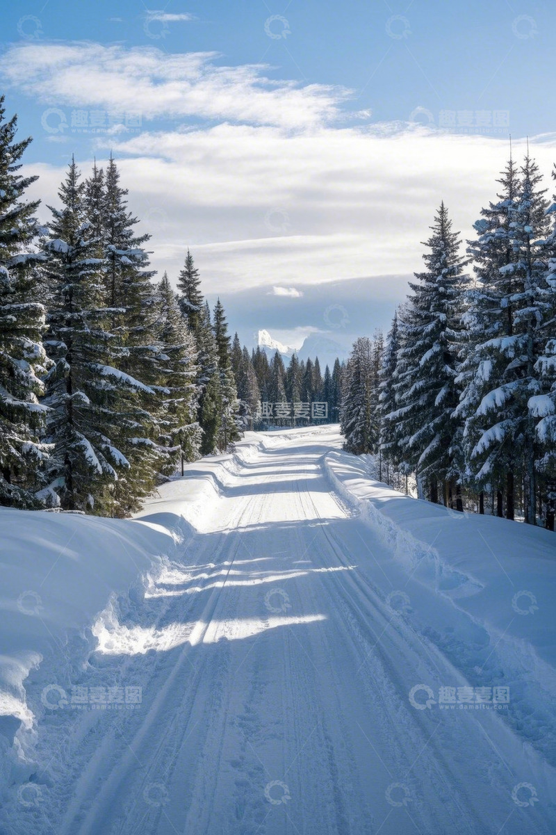 高清大图下载【趣麦麦图】雪后林间道路自然风光
