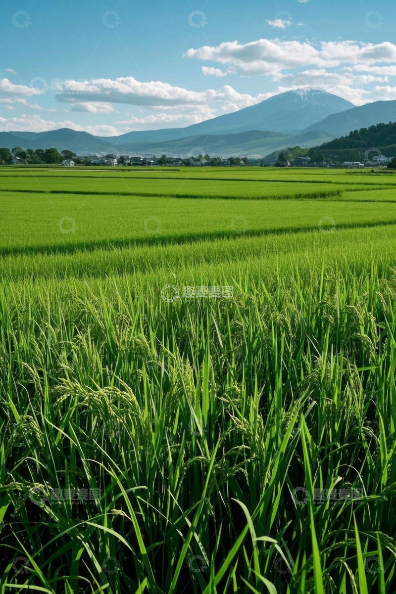 高清大图下载【趣麦麦图】田野风光与远处山峦景致