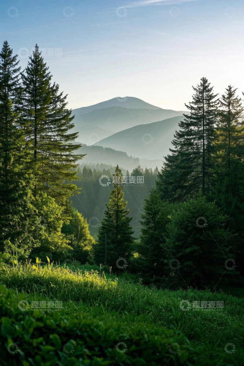 高清大图下载【趣麦麦图】山林间茂密森林与远山景观