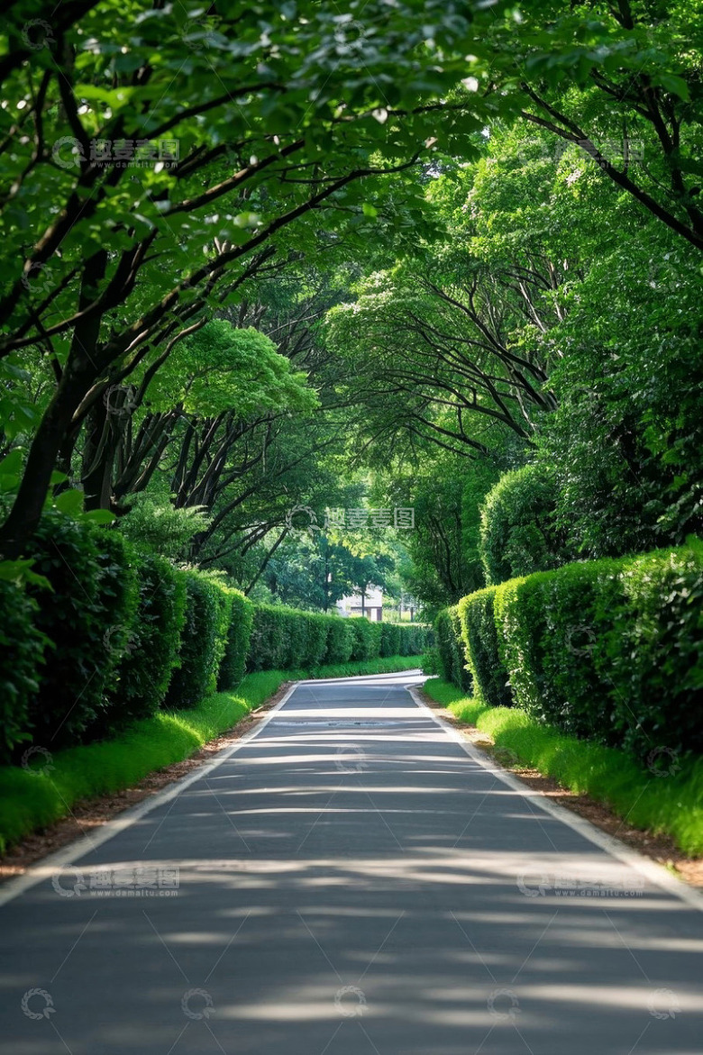 绿树成荫的林间小路