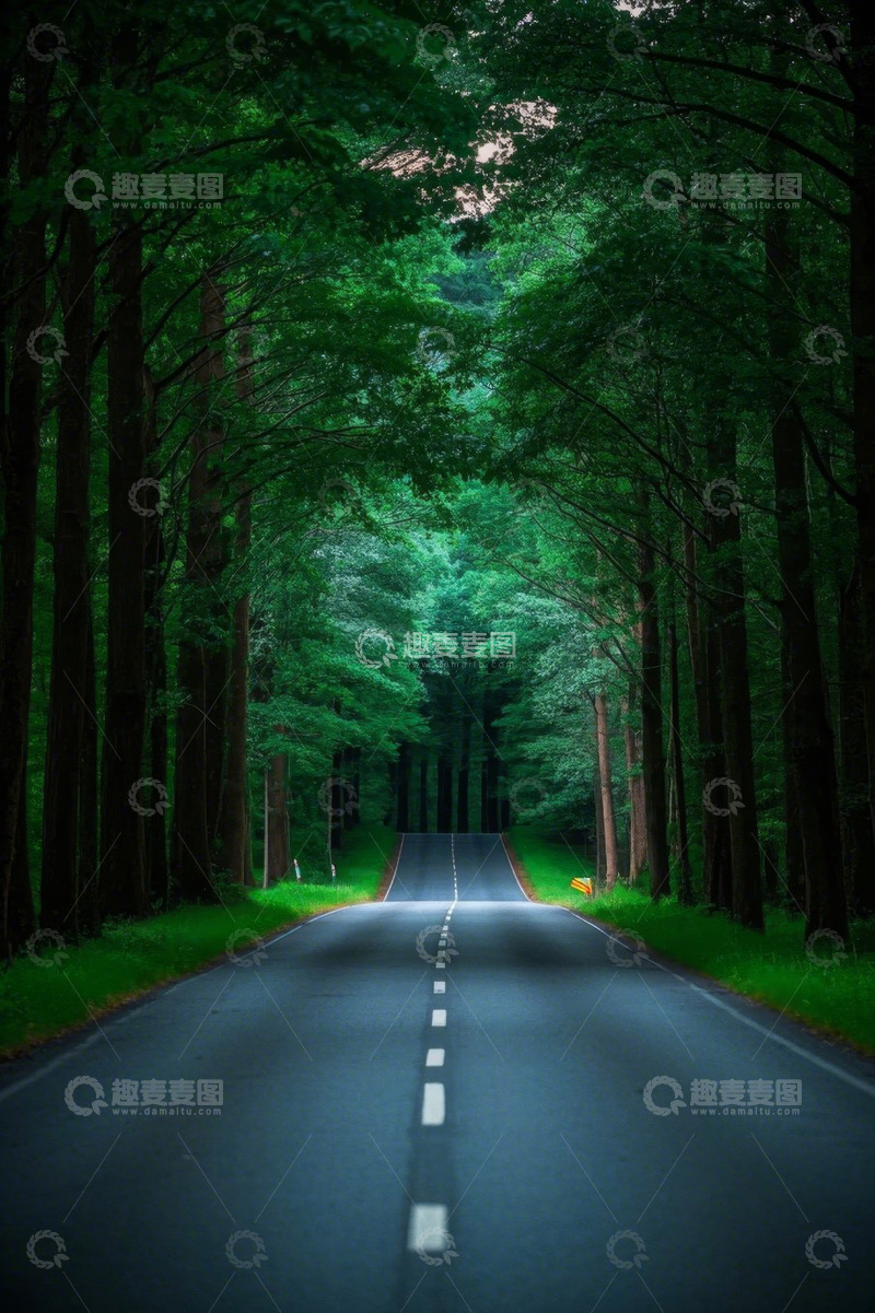高清大图下载【趣麦麦图】森林中的柏油道路
