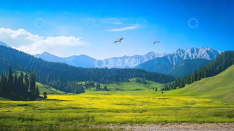 高清大图下载【趣麦麦图】草原山脉飞鸟风光