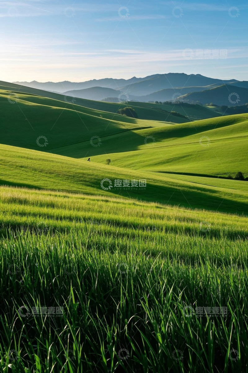 高清大图下载【趣麦麦图】绿色起伏草地自然风光
