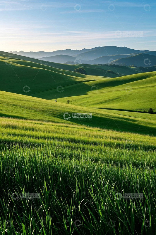 绿色起伏草地自然风光