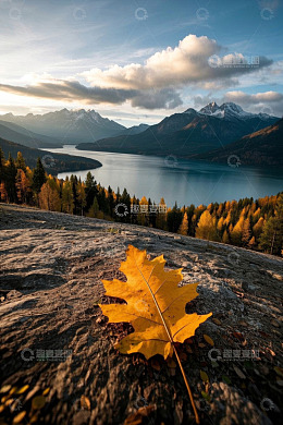 山间湖泊与秋景岩石上的枫叶