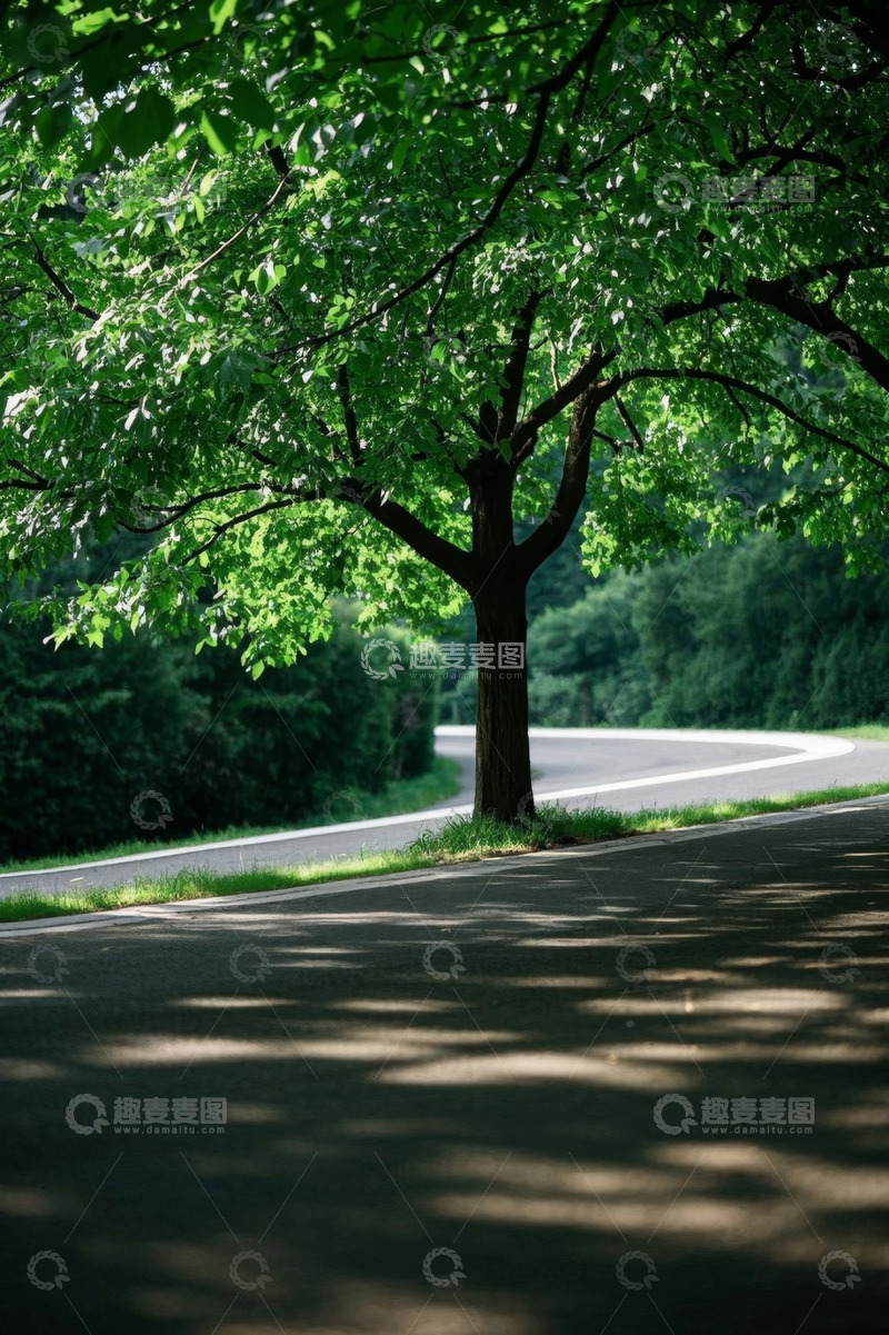 高清大图下载【趣麦麦图】路旁绿树与蜿蜒道路风景
