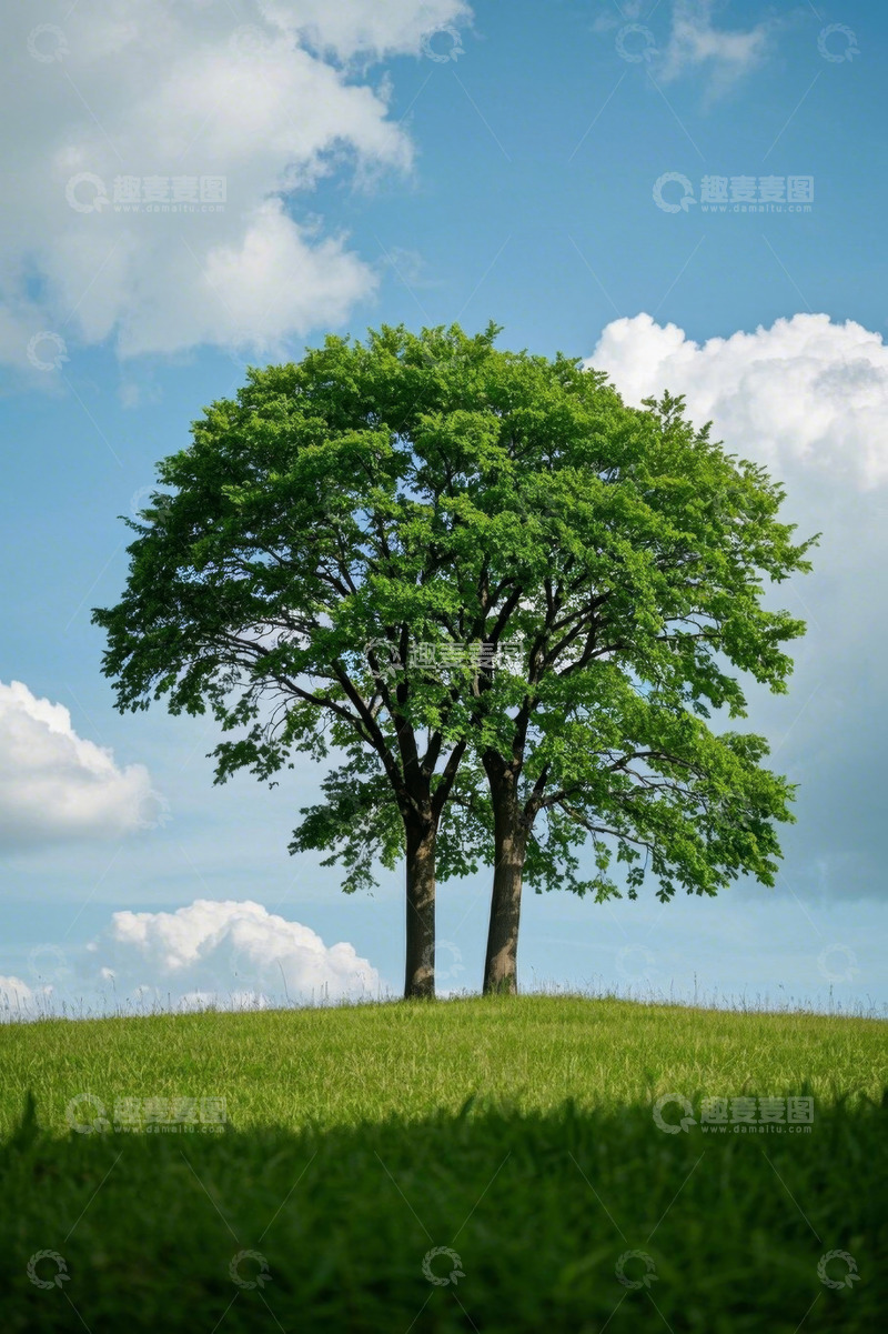 高清大图下载【趣麦麦图】草地上两棵树与蓝天白云景观