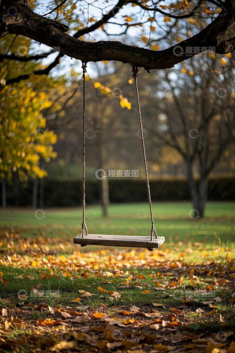 高清大图下载【趣麦麦图】公园中悬挂在树上的木质秋千