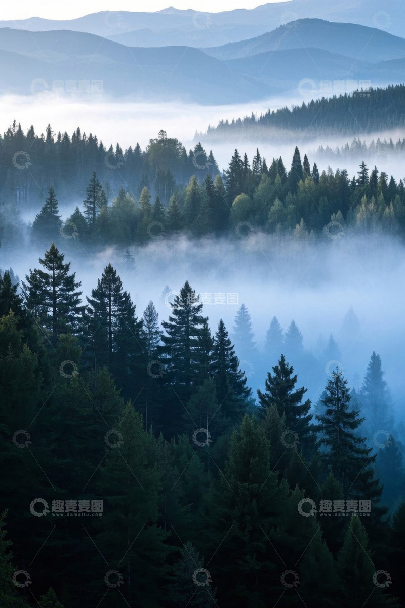 高清大图下载【趣麦麦图】山林间晨雾弥漫的森林景观